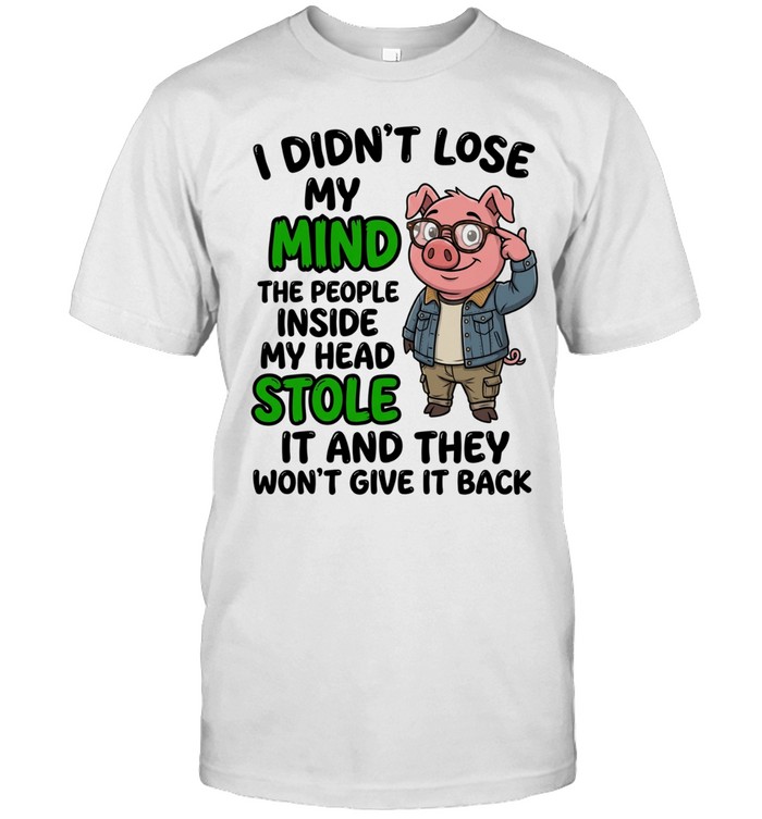 I Didn't Lose My Mind The People Inside My Head Stole It And They Won't Give It Back Unisex T-Shirt