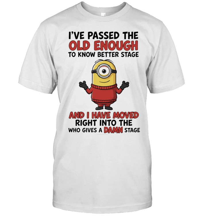 Minions Ive passed the old enough to know better stage and I have moved right into the who gives a damn stage Unisex T-Shirt