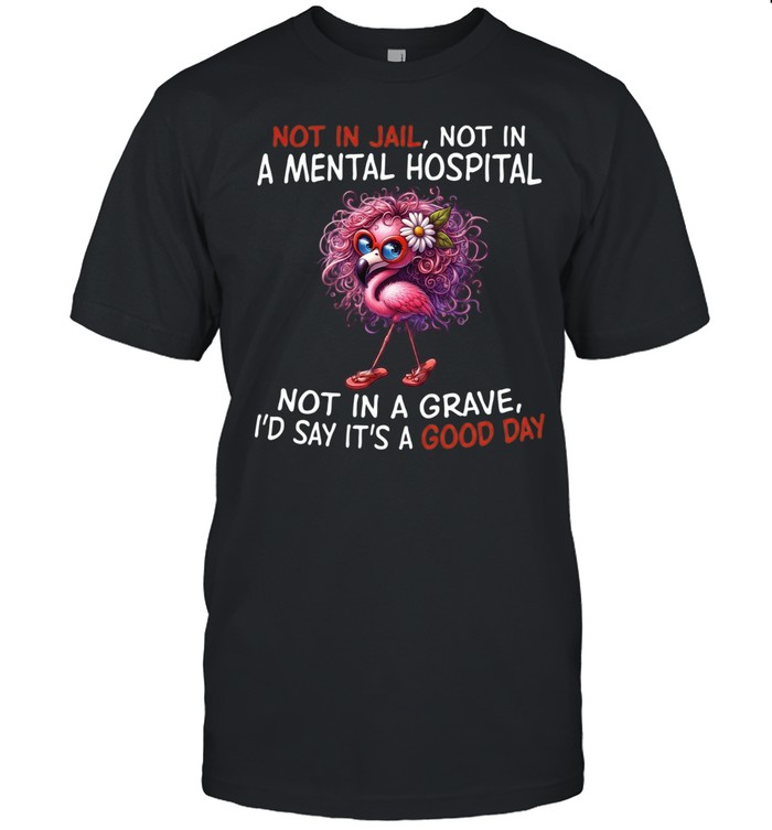 Not In Jail Not In A Mental Hospital Not In A Grave I'd Say It's A Good Day Unisex T-Shirt