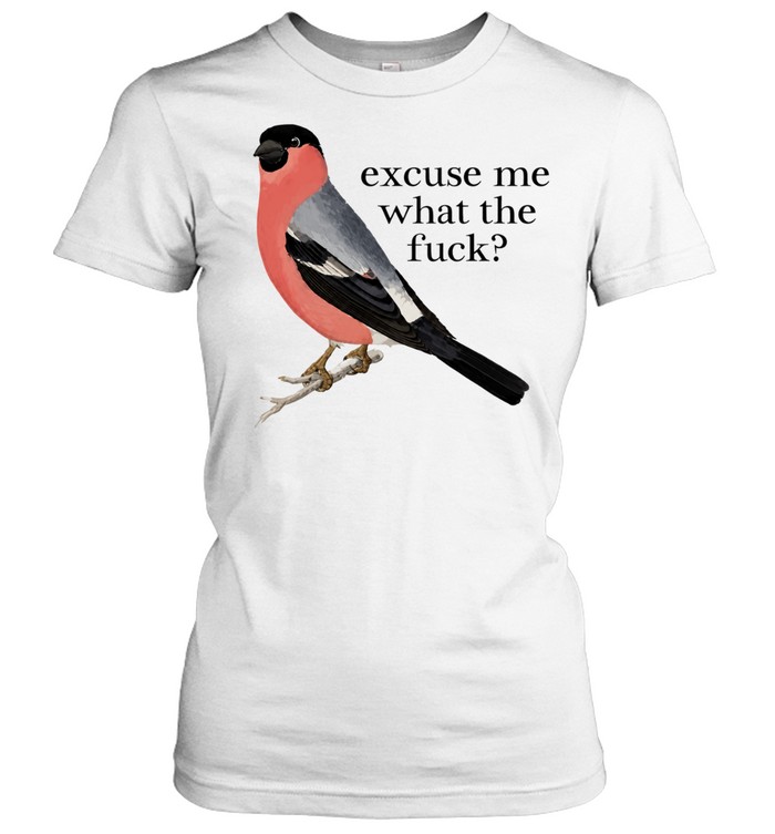 Eurasian Bullfinch Bird excuse me what the fuck Women T-Shirt