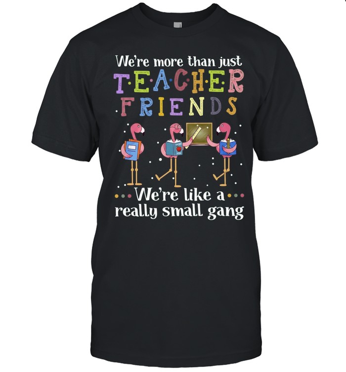 Flamingo we’re more than just teacher friends were like a really small gang Unisex T-Shirt